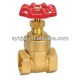 2-way Brass Forged gate valve